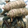 Transporte 04.jpg